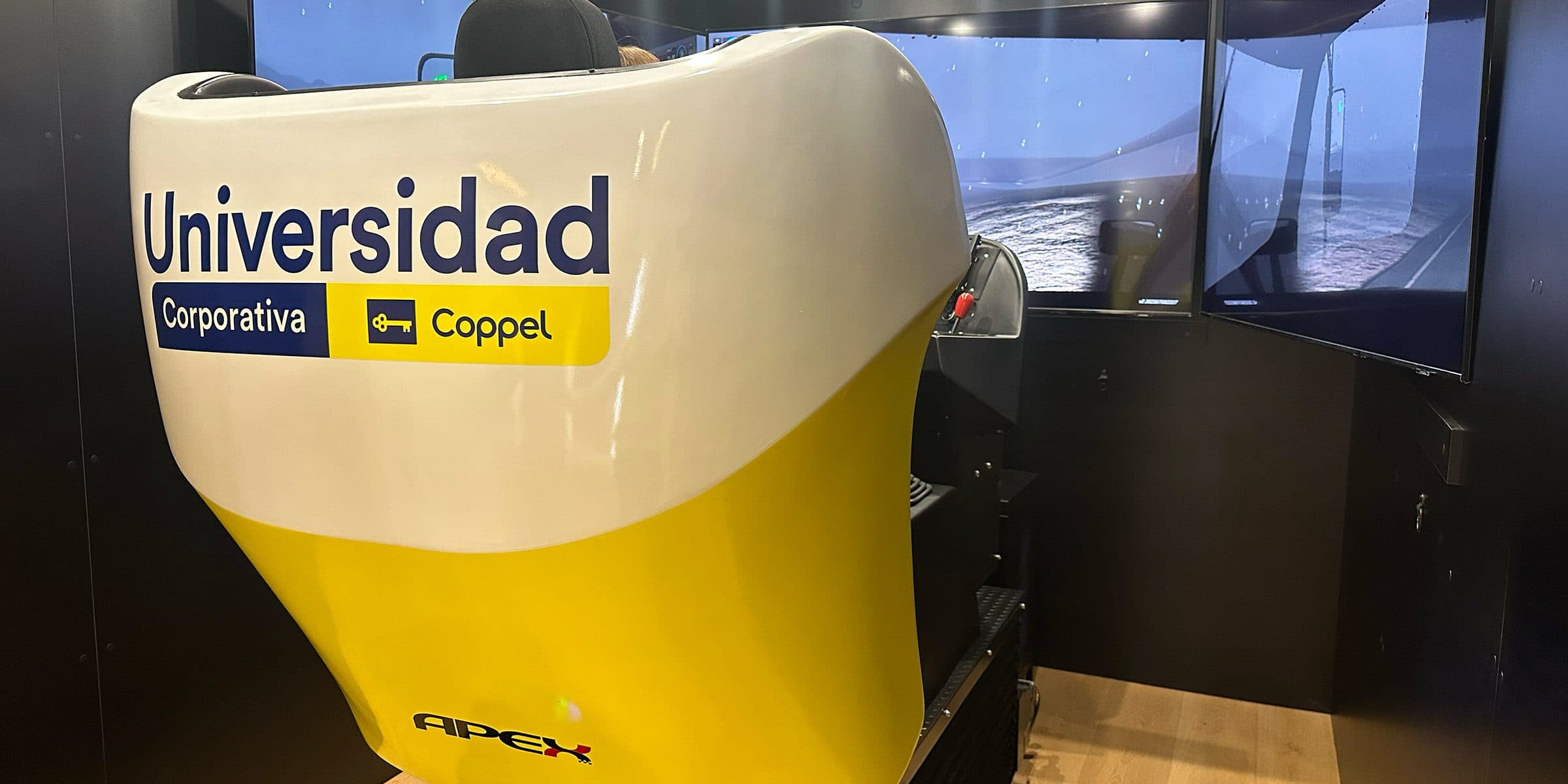 Integración vía API de los resultados del simulador APEX con sistemas del cliente